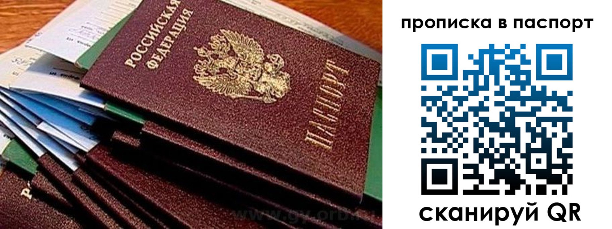 прописка штамп в Борисоглебске
